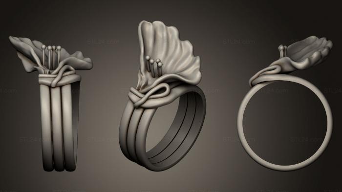 Jewelry rings (ring 117, JVLRP_0218) 3D models for cnc